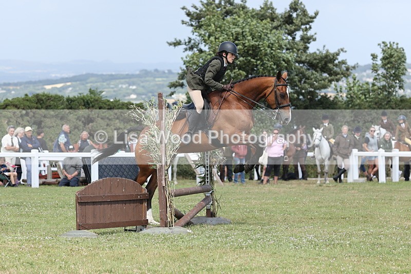 JPP_2068 - Class 19: Working Hunter 60cm