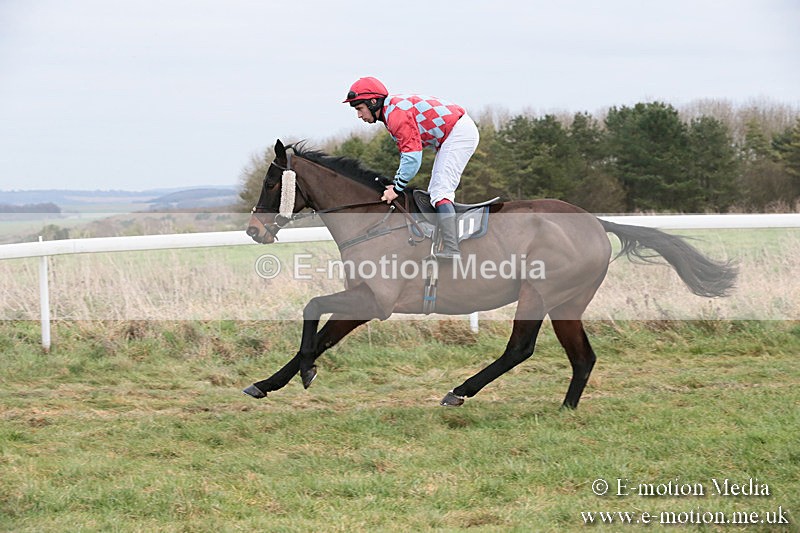 PtP 060119 234 - Larkhill Racing Club - Point-to-Point- 06/01/2019