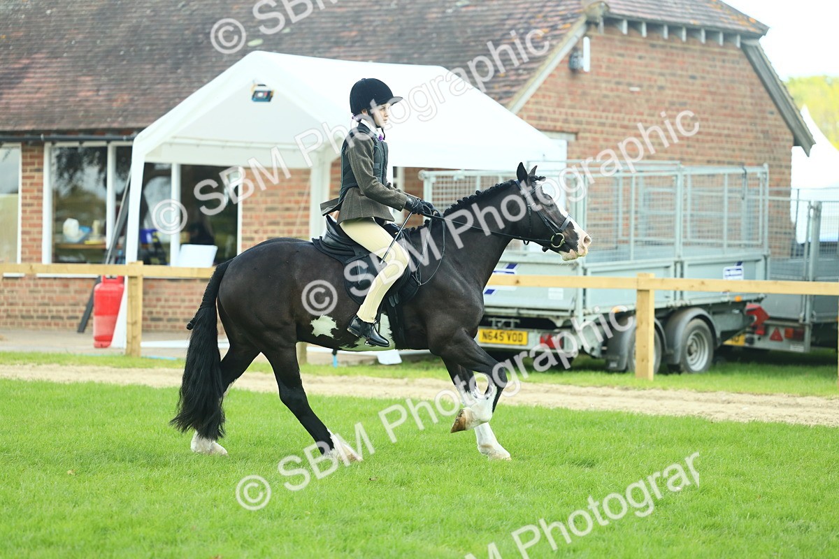 SBM_42012 - S29 - Novice & Newcomers Working Hunter Pony