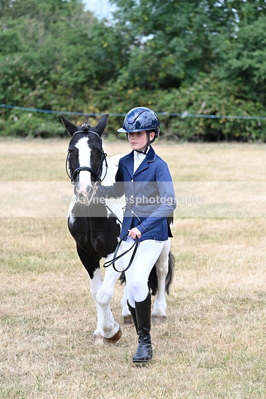 WJ7_1688 - Class 4 Prettiest Mare up to 14.2hh in hand