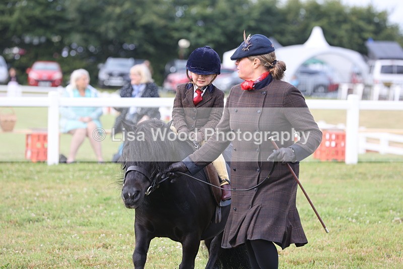JPP_0414 - Class 14: Cornish Combination Leading Rein
