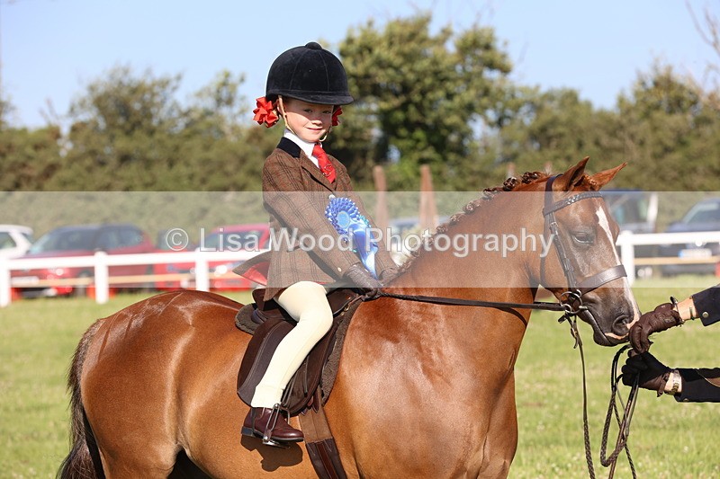JPP_0891 - Class 16: Cornish Combination Leading Rein