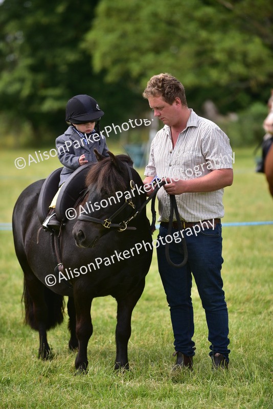 20260614-4007 - Class 16 - Handsome Gelding