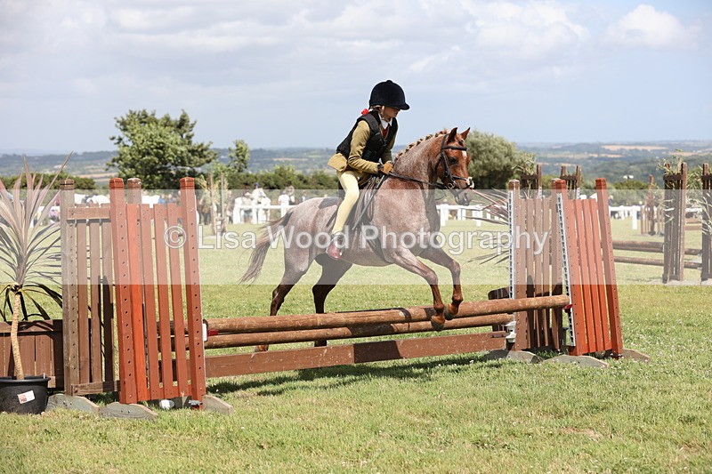 JPP_2126 - Class 19: Working Hunter 60cm