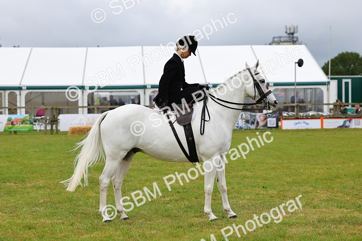 SBM_02968 - Class 9-11 Side Saddle including LIHS Rising Star Ladies Show Horse