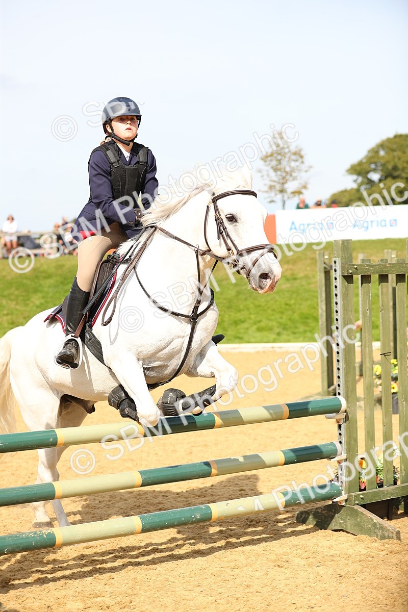 SBM_67968 - J17 - Junior Pony 80cm Championship