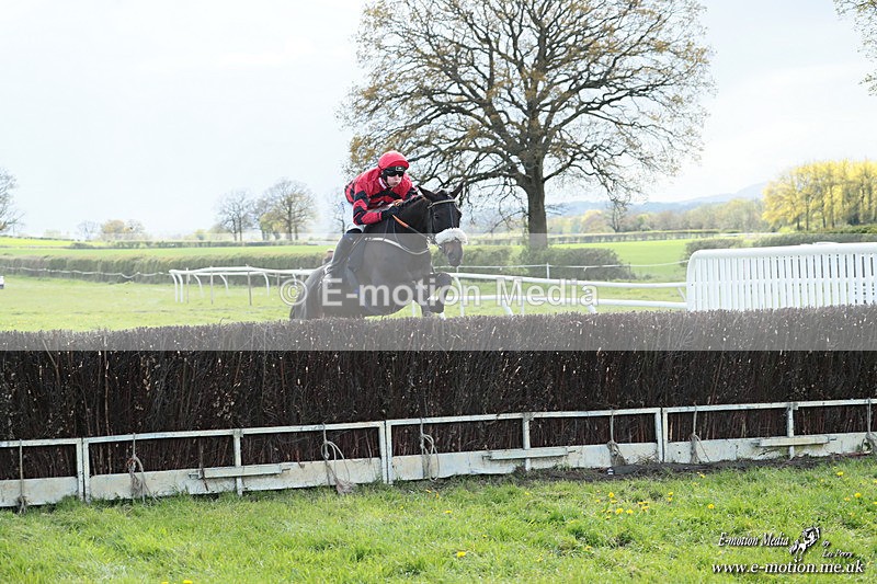 PtP 180426 1157 - Worcestershire Hunt PtP Chaddesley Corbett 18/04/26