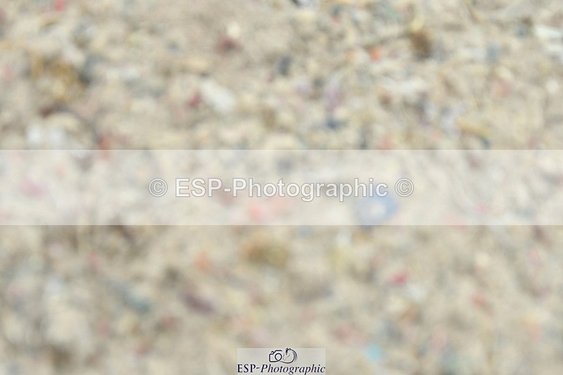 230708A-143338-02941 - Elementary 43