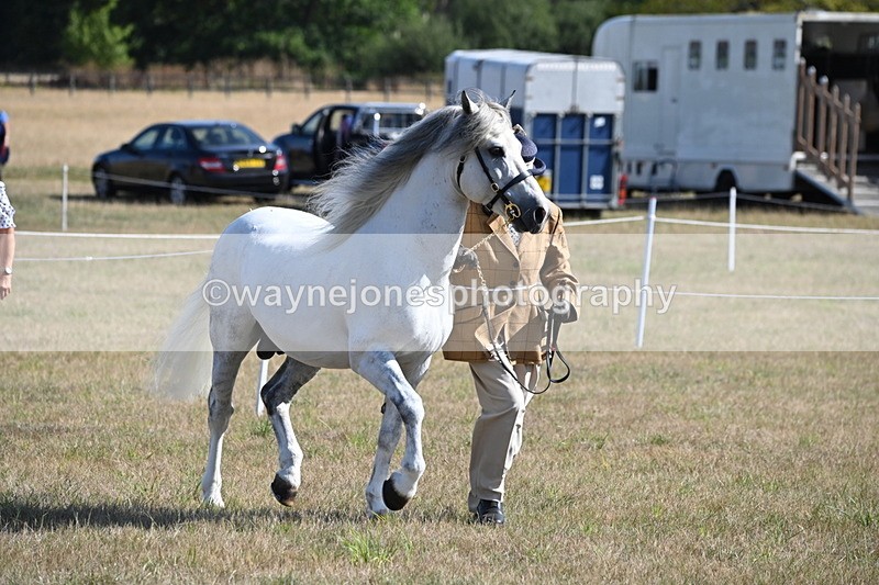 WJ6_4217 - Class 16 Condition & Turn Out