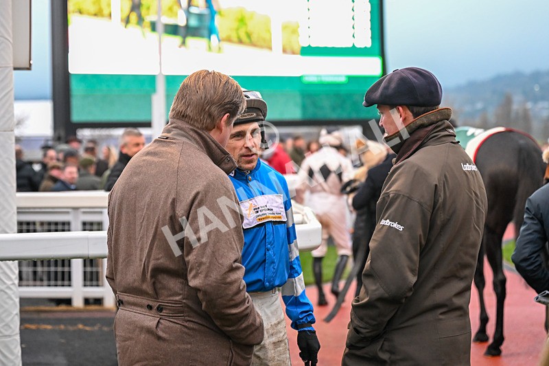 151125-Race 7-Divine Diva-4653 - Race 7