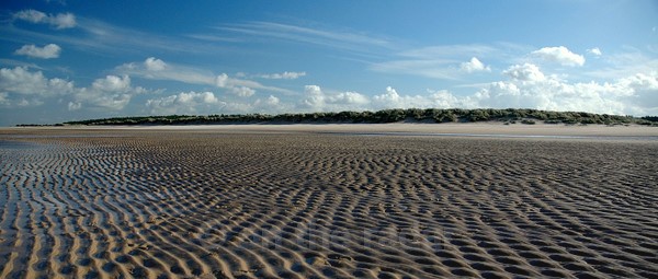 Holkham 7 - Beachscapes