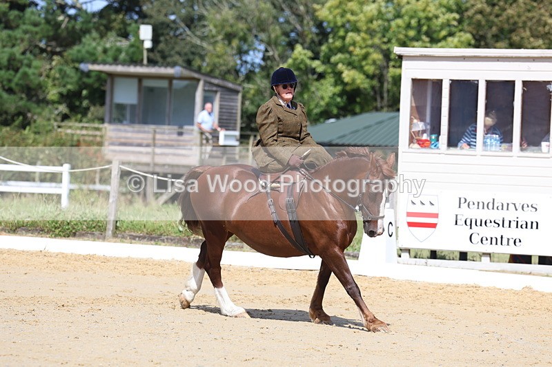 3E7A3593 - Class 7:  Preliminary Music