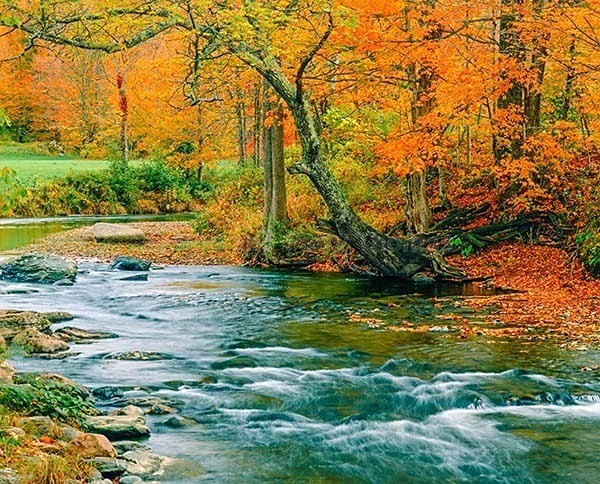 Istock #21492283 - New England Images