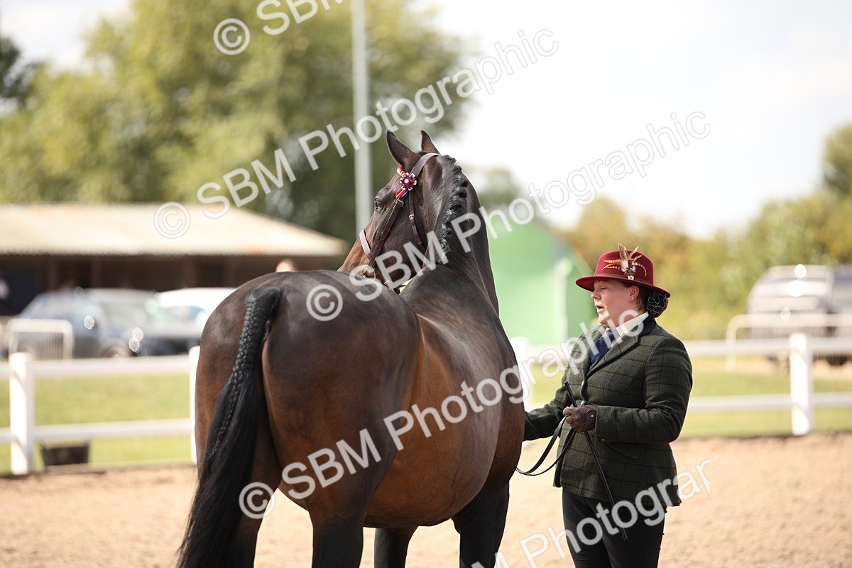 SBM_03783 - Class 19 Judge's Favourite