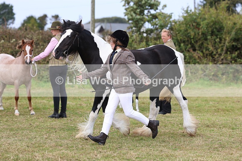 3E7A5392 - Class 19: Best Coloured in Hand