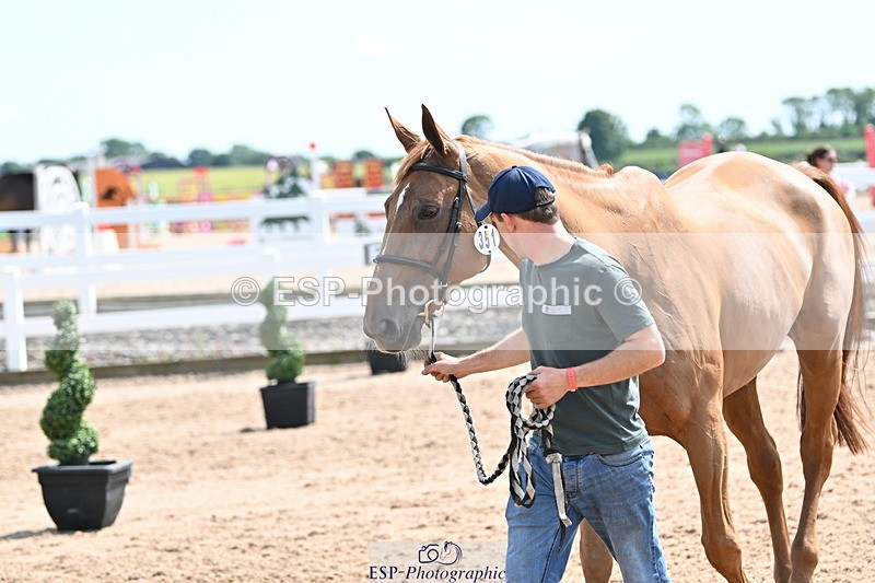 240717A-151926-02754 - Trot Up 3pm to 4pm