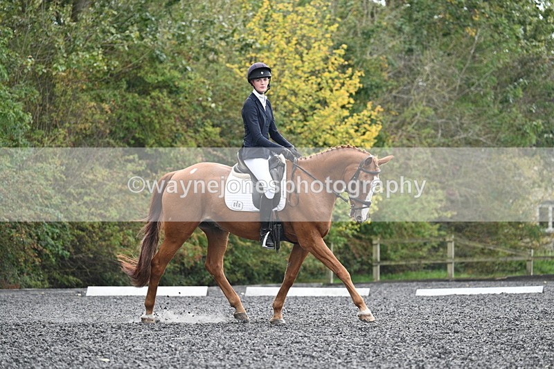 WJ7_6748 - Time 14:49 to 15:14