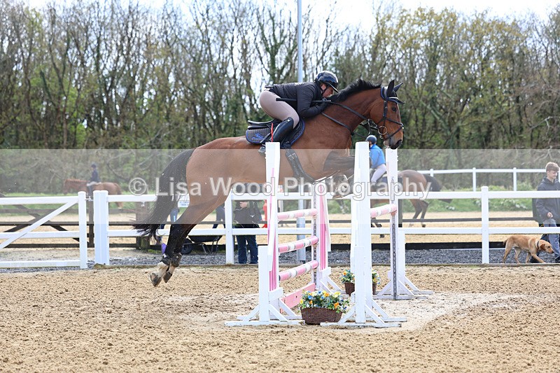 3E7A2028 - Class 8: Senior Foxhunter/1.20 open