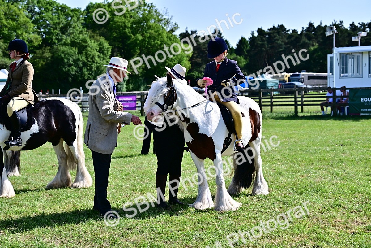 SBM_09439 - Class 63-65 - Traditional Gypsy Cobs In Hand & Ridden