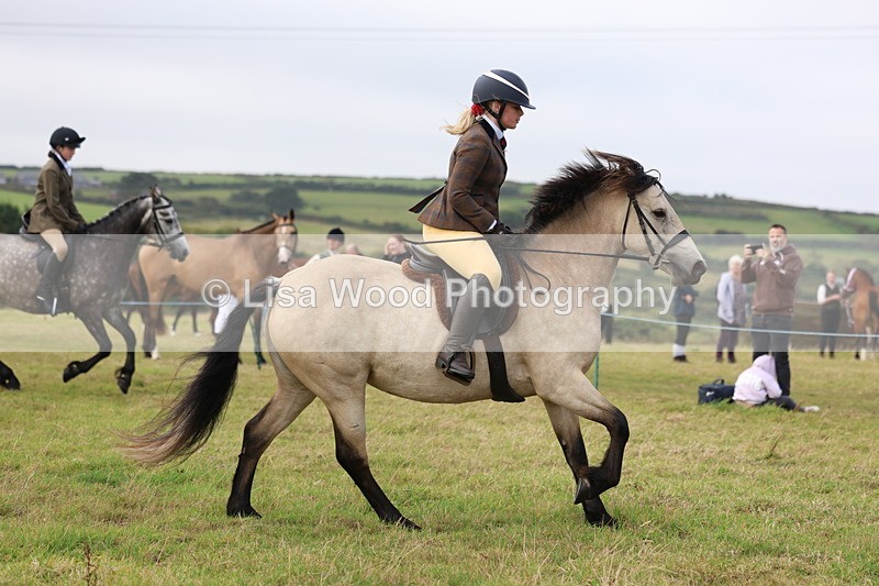 3E7A3972 - Class 4: Best Combination Open