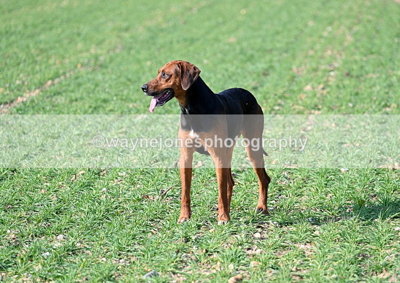 WJ7_5972 - Camera A