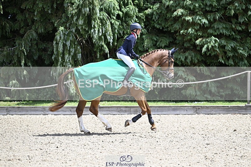 250525A-132013-17671 - Presentations Section B CCI 3 Star Long