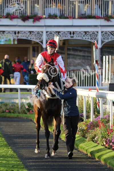 yr07102022r7-36 - Race 7 5.35pm IRE Incentive, It Pays To Buy Irish Stakes