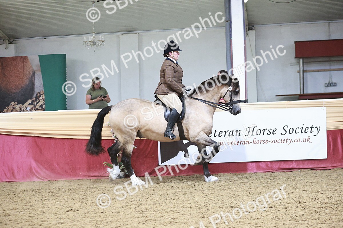 SBM_08836 - Class 12R - Regional Ridden Pre-Vet