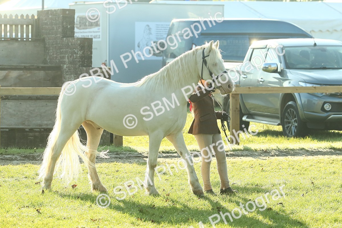 SBM_57378 - S37 - Starters In Hand Showing