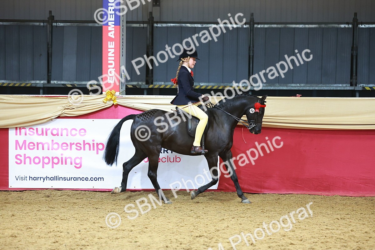 SBM_12411 - Class 103 - HOYS Veteran Qualifier - Ridden Pre Vet