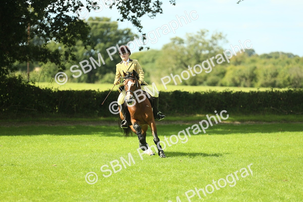 SBM_42973 - S30 - M&M Working hunter Pony