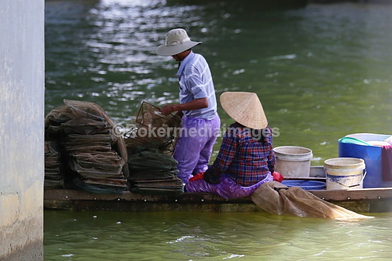 VIET_0833 - Vietnam 2017