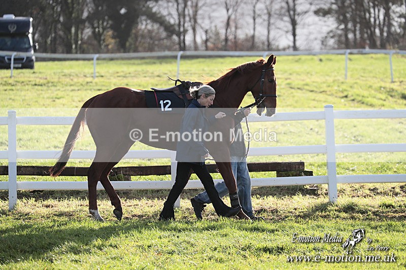 PtP 011224 454 - Hursley Hambledon Point-to-Point Larkhill 01/12/24