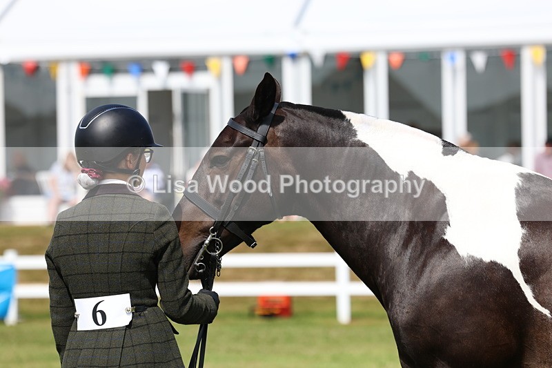 3E7A0005 - Class 5: Rising Star Lightweight/Heavyweight Cobs