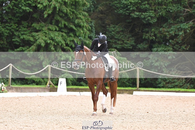 240809-122021-00748 - 185-Daisy.Hedges-Felicia.v