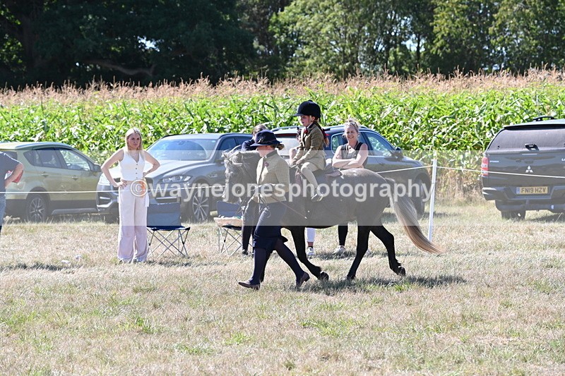 WJ6_7973 - Class 36 Lead Rein