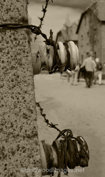 Auschwitz fence detail and buildings sepia - Auschwitz/Birkenau