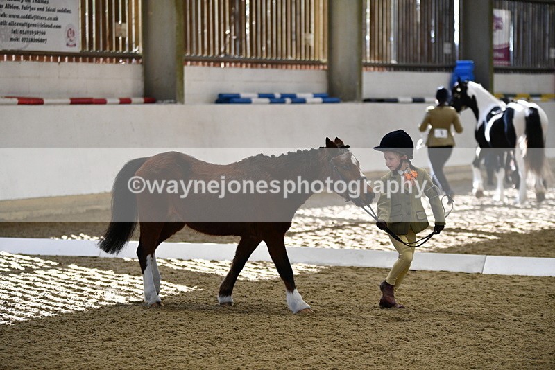 WJ5_3765 - Class 5 In Hand Veterans