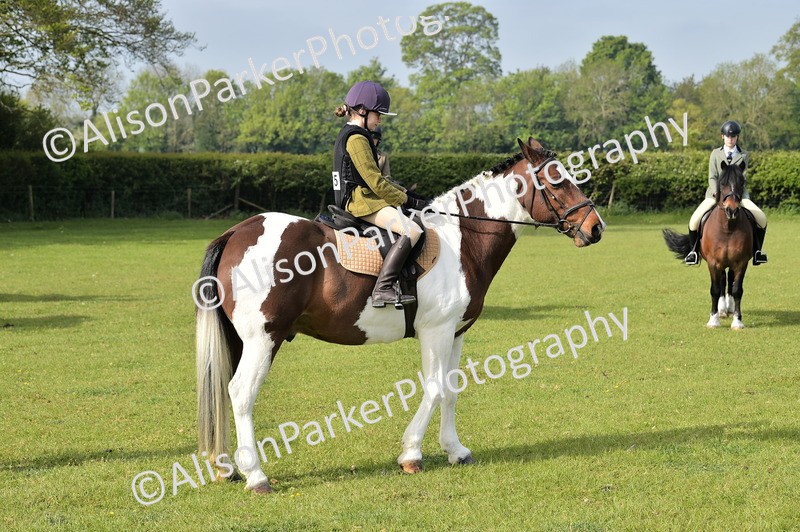 20260426-0903 - Class 18 - Novice Showing