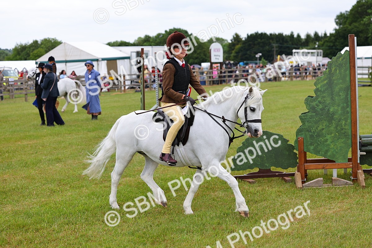 SBM_08880 - Class 42-43 - LIHS BSPS Heritage Working Sports Pony