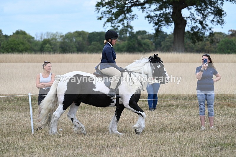 WJ7_4806 - Class 12 Ridden Cob