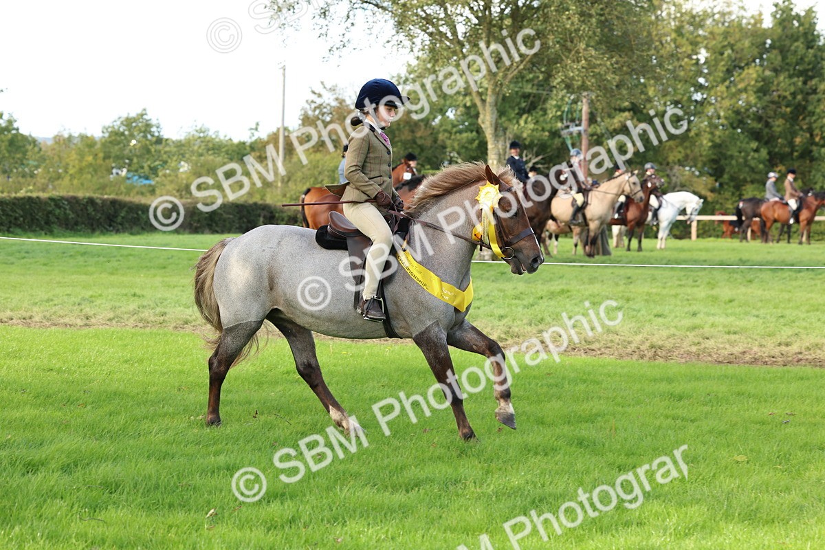 SBM_46353 - Working Hunter Pony Supreme Championship