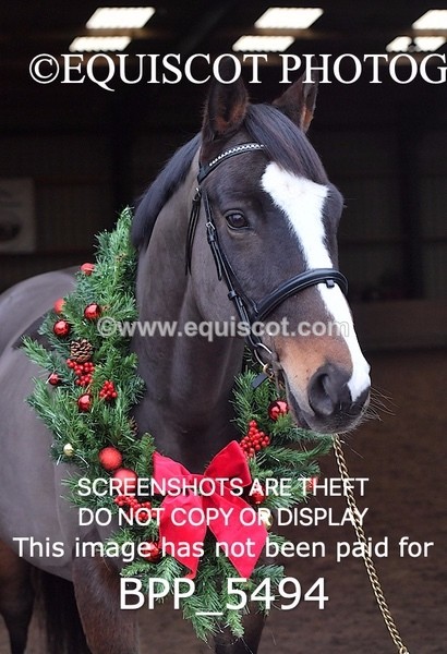 BPP_5494 - Morag Johnston