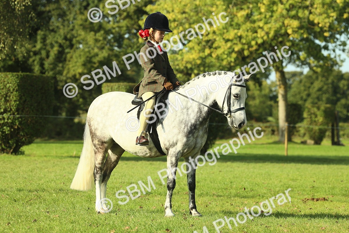 SBM_59210 - S38 - Starters Ridden Showing