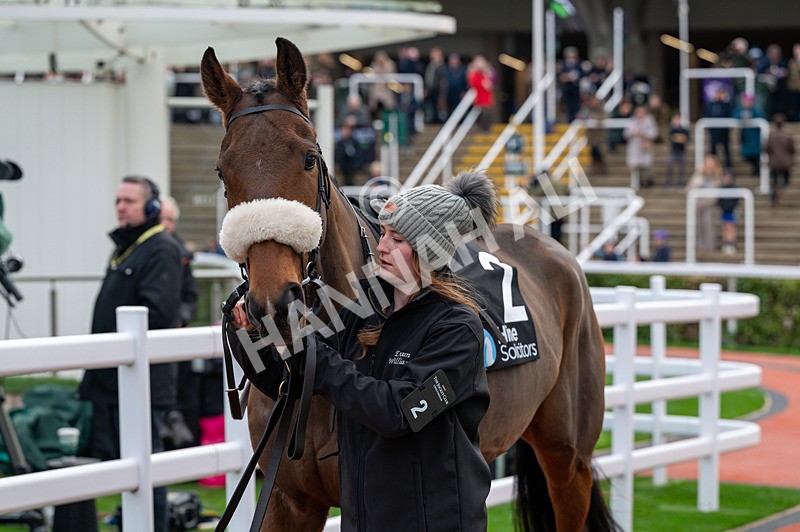 161125-Race 3-Dr T J Eckleburg-1508 - Race 3