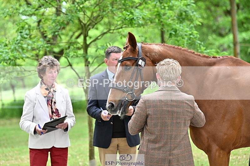 250521A-144845-00259 - A-062-Finn.Healy-GREANNANSTOWN.MONBEG.JOE