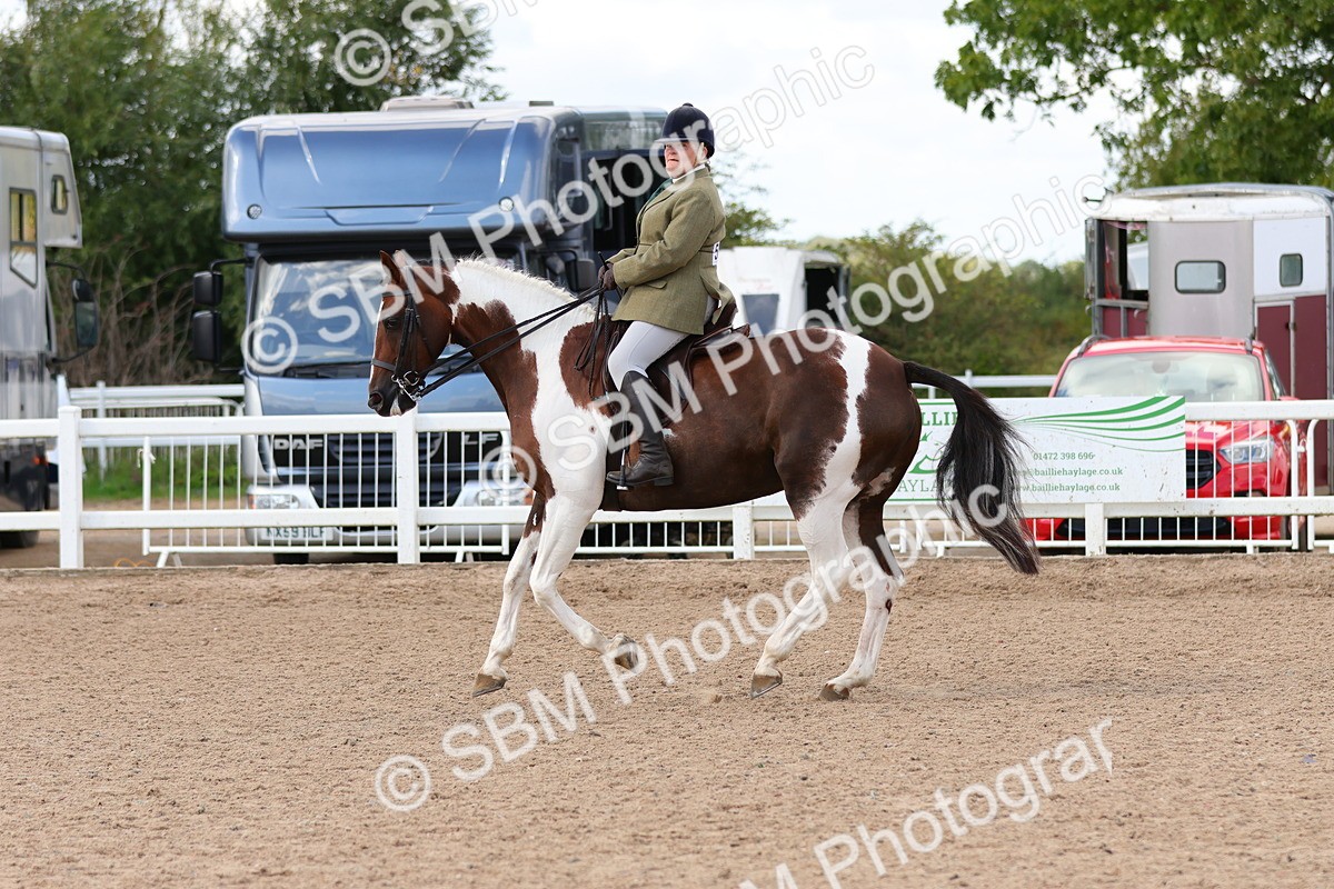 SBM_13202 - Class 211 - Ridden Hunter - Small