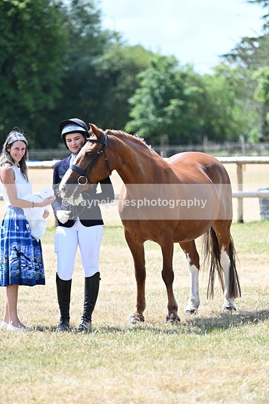 WJ7_2053 - Class 4a Prettiest Mare 14.2hh and over hand