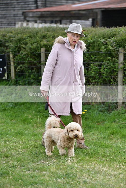 WJ5_9073 - Class 1 Best Cross Breed / Heniz 57