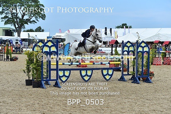 BPP_0503 - RHS 2019 Selection - *Just some random spectator shots so Lucky Dip if you are there!